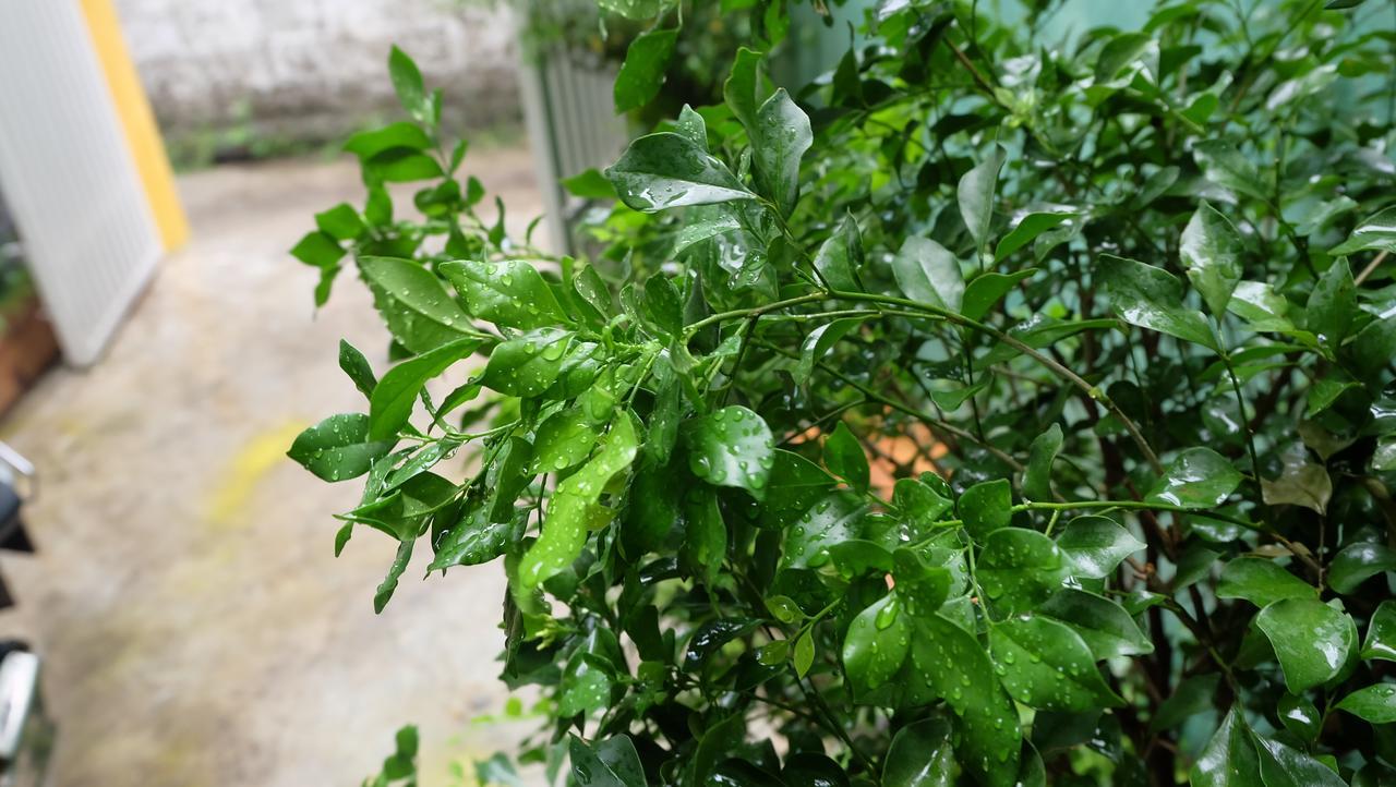 Nha Homestay Đà Nẵng Extérieur photo