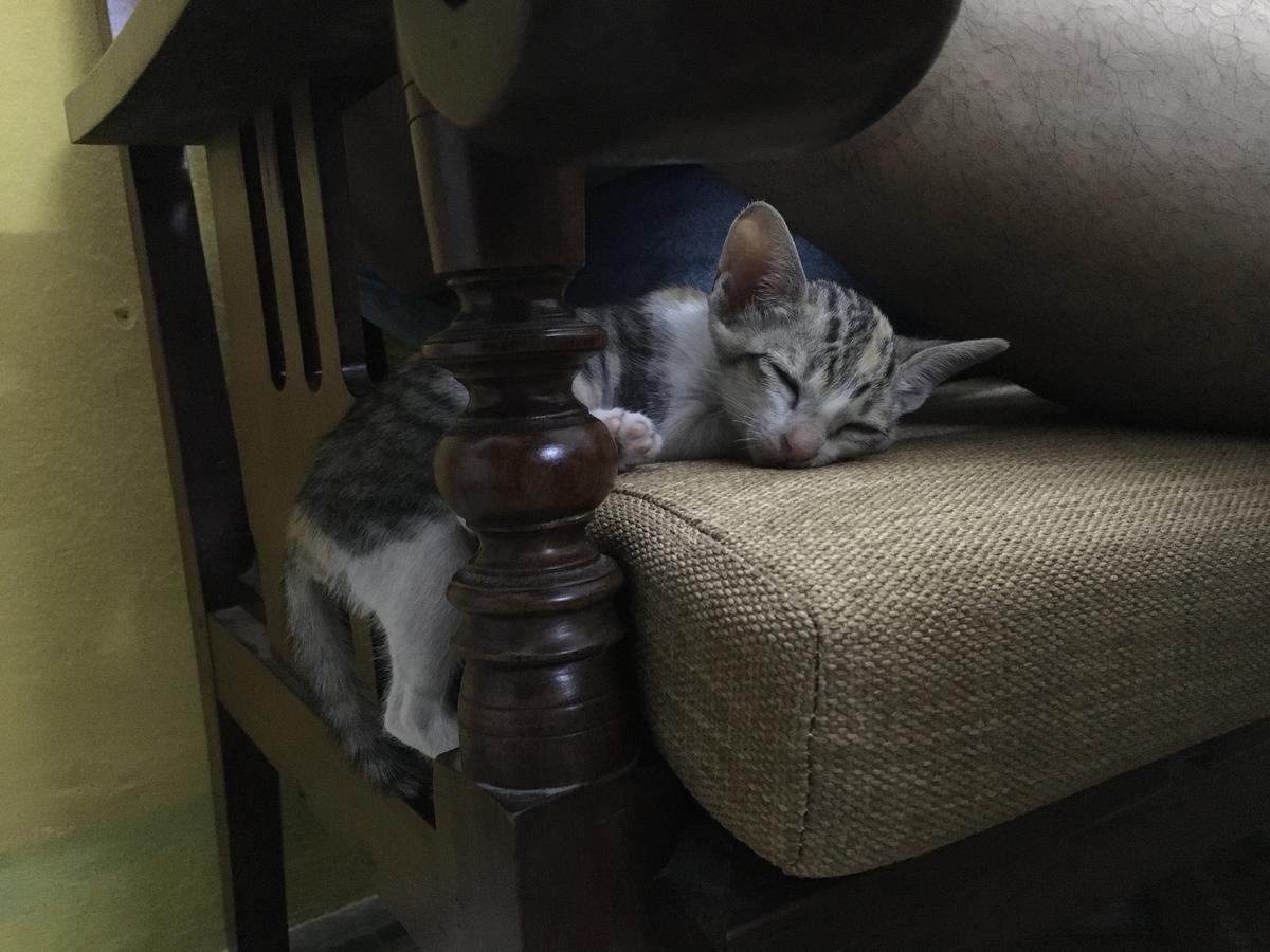 Nha Homestay Đà Nẵng Extérieur photo