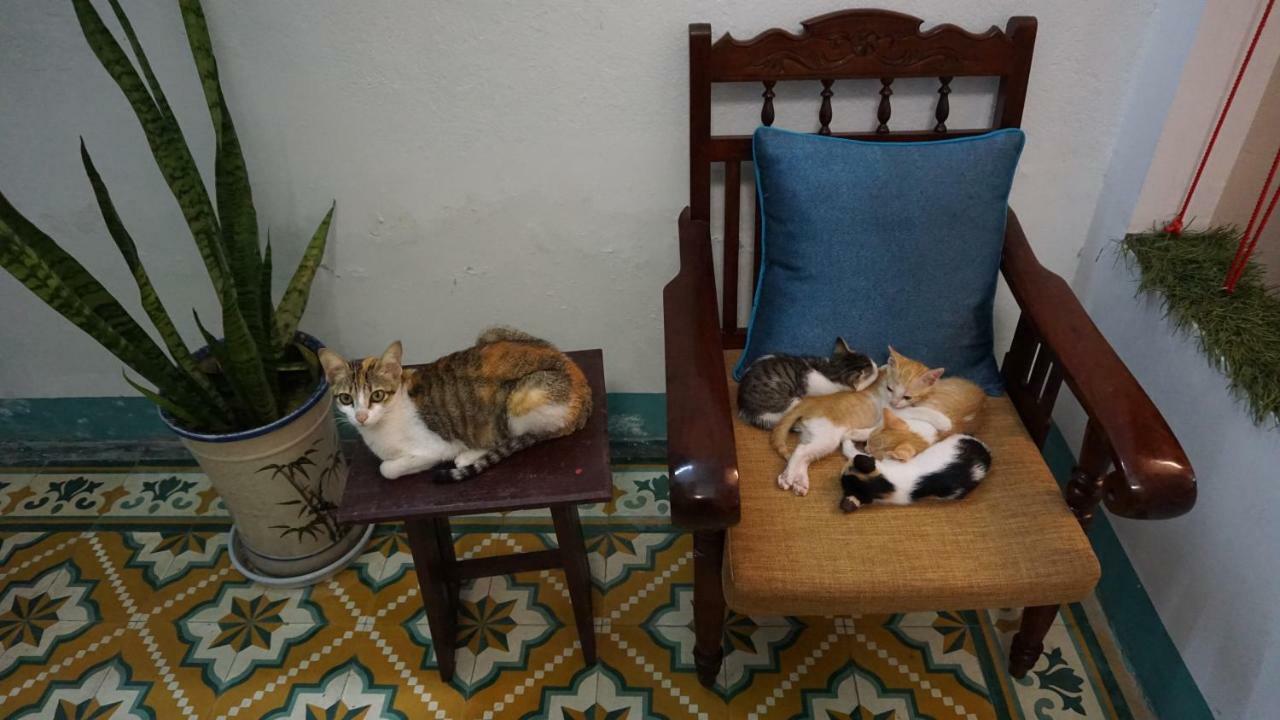 Nha Homestay Đà Nẵng Extérieur photo